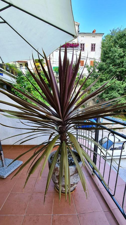 Apartment Gasparac - 30 Meters From The Beach Ika Buitenkant foto